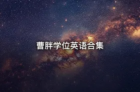 曹胖学位英语合集