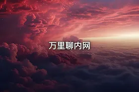 万里聊内网