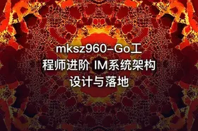 mksz960-Go工程师进阶 IM系统架构设计与落地