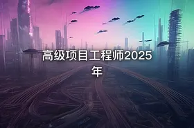 高级项目工程师2025年