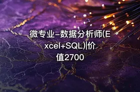 微专业-数据分析师(Excel+SQL)|价值2700