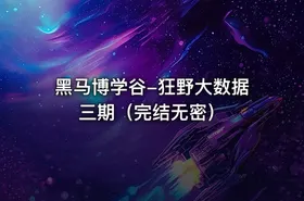 黑马博学谷-狂野大数据三期（完结无密）