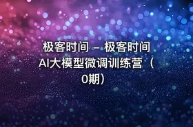 极客时间 - 极客时间AI大模型微调训练营（0期）