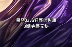 黑马Java狂野架构师3期|完整无秘 - getfromcode