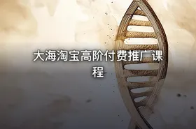 大海淘宝高阶付费推广课程