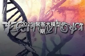 2025 聚客大模型4期