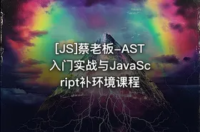 [JS]蔡老板-AST入门实战与JavaScript补环境课程 - getfromcode