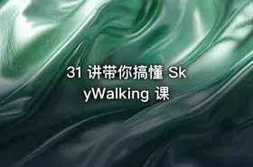31 讲带你搞懂 SkyWalking 课 - getfromcode