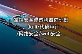 掌控安全渗透利器进阶班，(kali/代码审计/网络安全/web安全/测试/信息安全)，价值4298