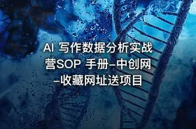 AI 写作数据分析实战营SOP 手册-中创网-收藏网址送项目 - getfromcode