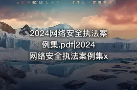 2024网络安全执法案例集.pdf|2024网络安全执法案例集x