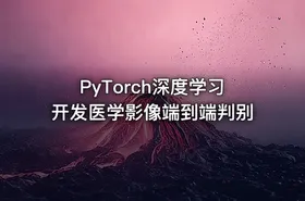 PyTorch深度学习开发医学影像端到端判别 - getfromcode