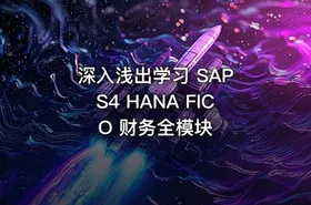 深入浅出学习 SAP S4 HANA FICO 财务全模块 - getfromcode