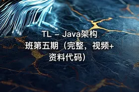 TL - Java架构班第五期（完整，视频+资料代码）
