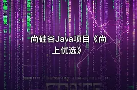 尚硅谷Java项目《尚上优选》 - getfromcode