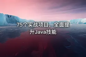 75个实战项目，全面提升Java技能