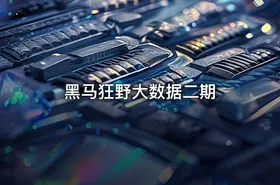 黑马狂野大数据二期
