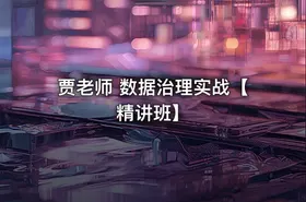 贾老师 数据治理实战【精讲班】 - getfromcode