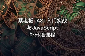 蔡老板-AST入门实战与JavaScript补环境课程