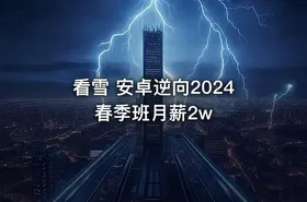 看雪 安卓逆向2024春季班月薪2w