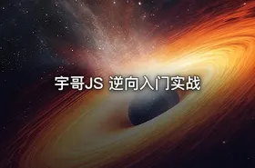 宇哥JS 逆向入门实战