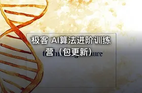 极客 AI算法进阶训练营（包更新）