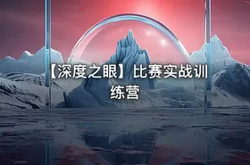 👁️ 【深度之眼】比赛实战训练营