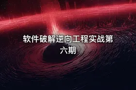 软件破解逆向工程实战第六期