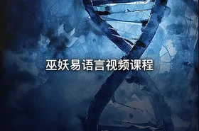 巫妖易语言视频课程