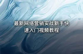 最新网络营销实战新手快速入门视频教程