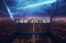 小肩膀-逆向工程师