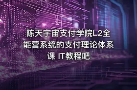 陈天宇宙支付学院L2全能营系统的支付理论体系课 IT教程吧