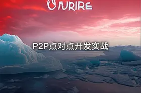 P2P点对点开发实战 - getfromcode
