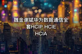魏金谢斌华为数据通信全套HCIP HCIE HCIA