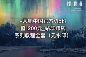 -营销中国官方VIp价值1200元_站群赚钱系列教程全套（无水印）