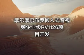 摩尔摩尔布罗嵌入式音视频企业级RV1126项目开发