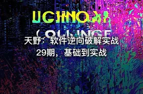 天野：软件逆向破解实战29期，基础到实战