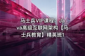 马士兵VIP课程：Java高级互联网架构【马士兵教育】精英班1