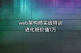 web架构师实战特训 进化班价值1万