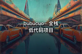 bubucuo- 全栈低代码项目