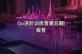 Go进阶训练营第五期|极客