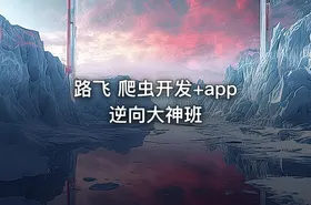 路飞 爬虫开发+app逆向大神班