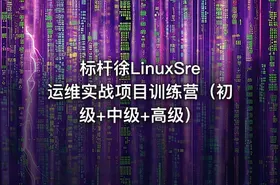 标杆徐LinuxSre运维实战项目训练营（初级+中级+高级）