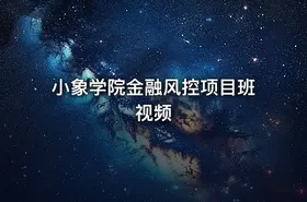 小象学院金融风控项目班视频