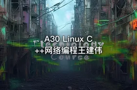 A30 Linux C++网络编程王建伟