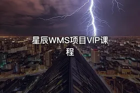 星辰WMS项目VIP课程