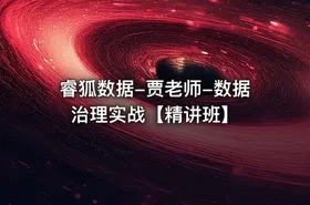 睿狐数据-贾老师-数据治理实战【精讲班】