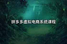 拼多多虚拟电商系统课程