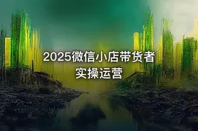 2025微信小店带货者实操运营 - getfromcode