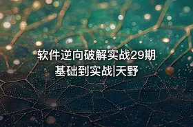 软件逆向破解实战29期基础到实战|天野